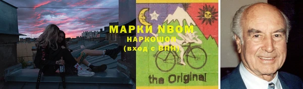дурь Пестово