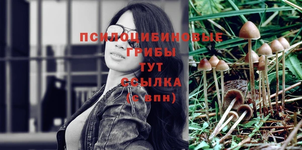 не бодяженный Пересвет
