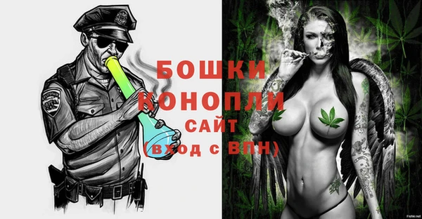 дурь Пестово