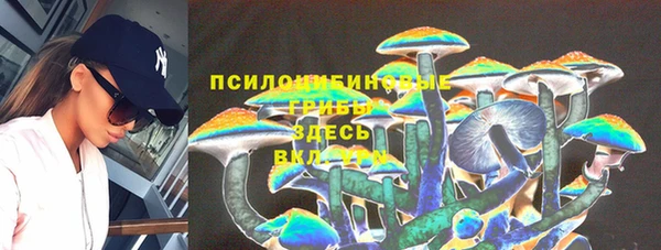 не бодяженный Пересвет