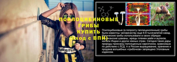 ALPHA-PVP Осинники