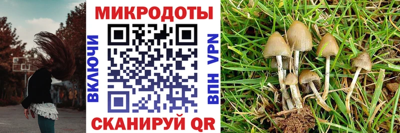 Псилоцибиновые грибы ЛСД  Дзержинск 