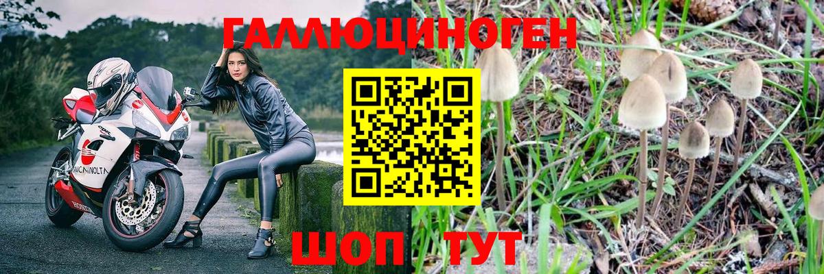 Псилоцибиновые грибы прущие грибы Дзержинск